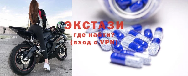 крисы Богородицк