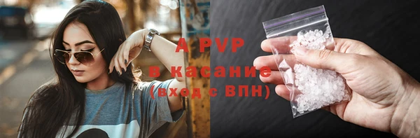 винт Бородино