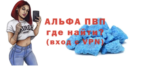 крисы Богородицк