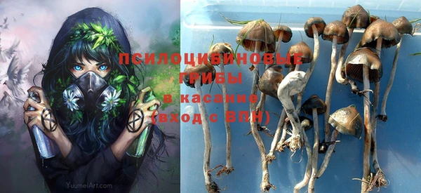 винт Бородино