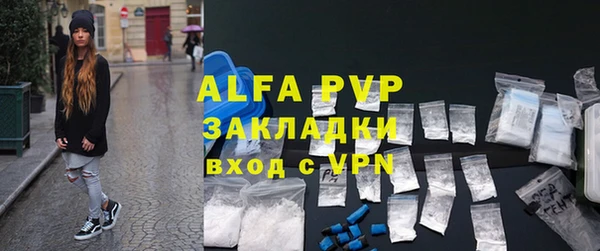 крисы Богородицк