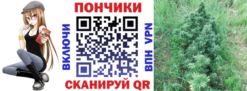 Бошки марихуана OG Kush  сайты даркнета Telegram  Семилуки 